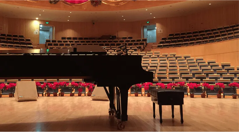 Concert piano regulation
