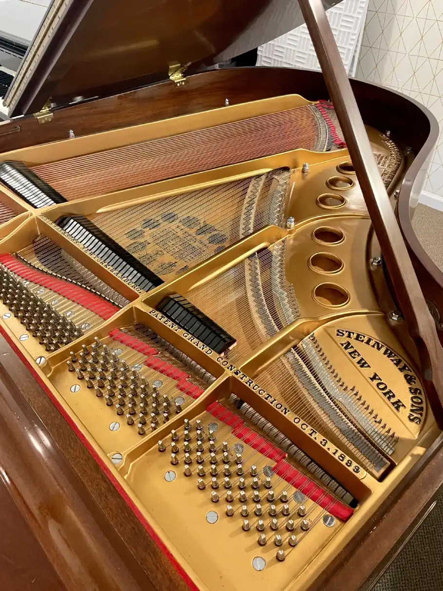 Fully Rebuild Steinway M Baby Grand