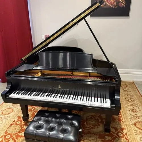 2010 Steinway B